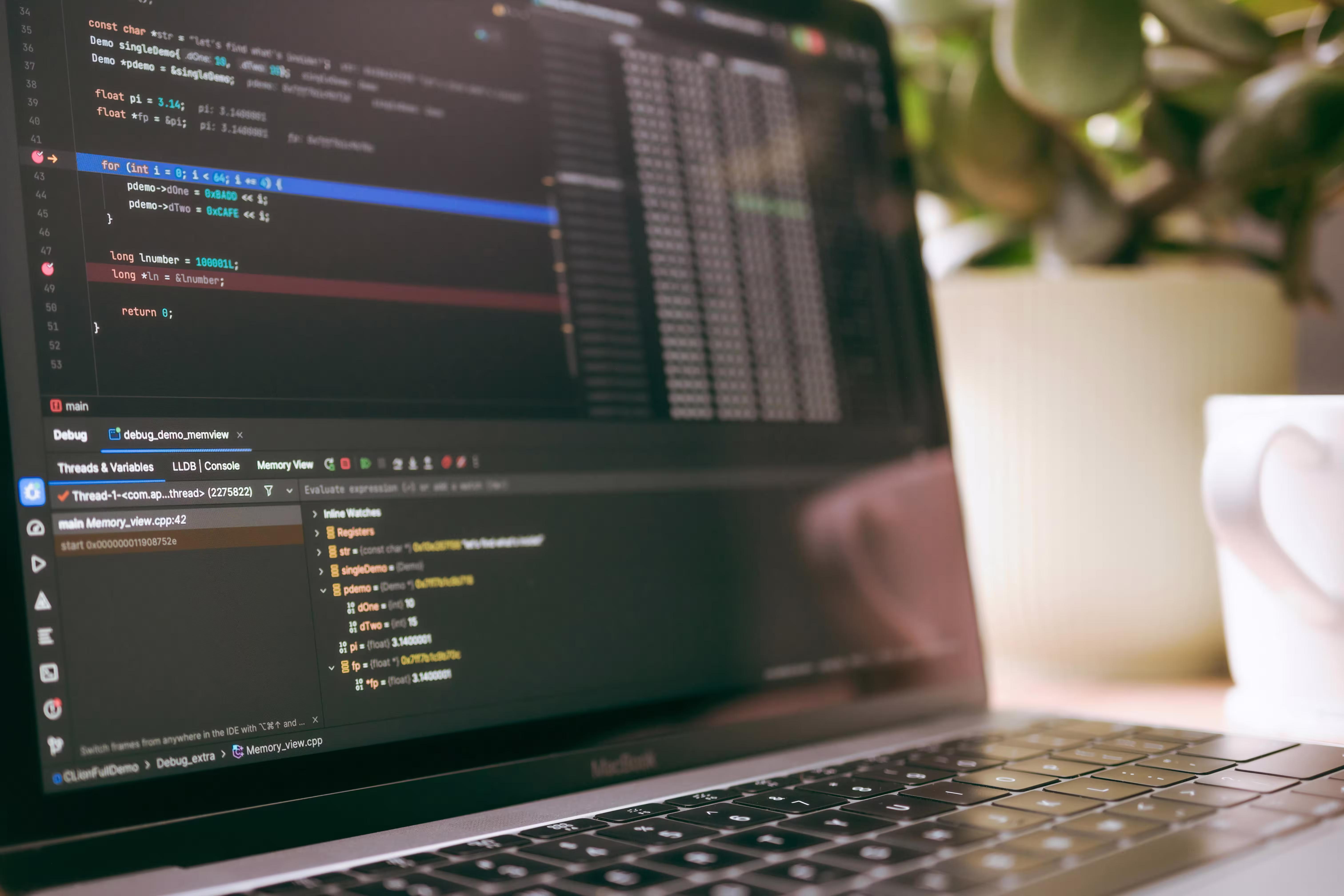 Software – ESC-Systeme